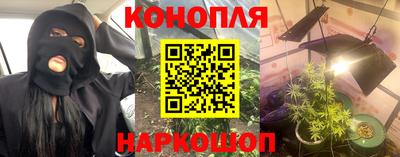 индика Тверь