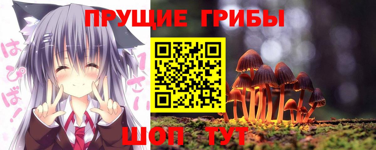 Галлюциногенные грибы Psilocybe Ликино-Дулёво